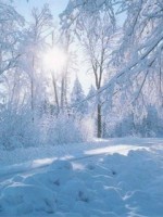 �������� ��� ���������� �������� - ����