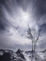 �������� ��� ���������� �������� - ����