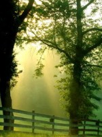 �������� ��� ���������� �������� - ���