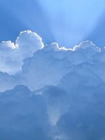 �������� ��� ���������� �������� - ����