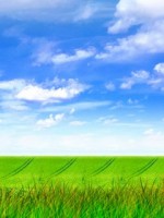 �������� ��� ���������� �������� - ������